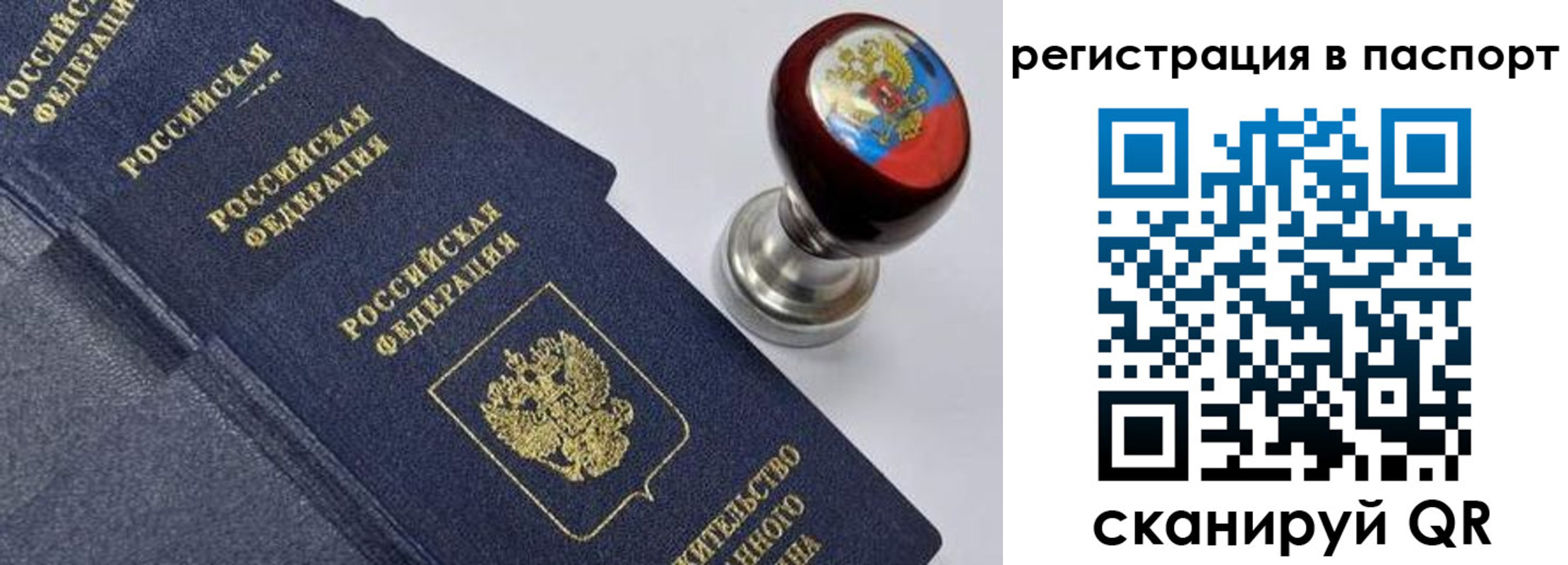 прописка поиск в Сухиничи
